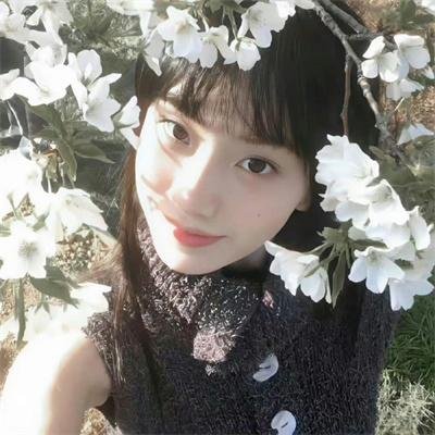 风流市长