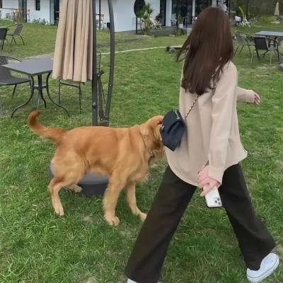 我为琴狂